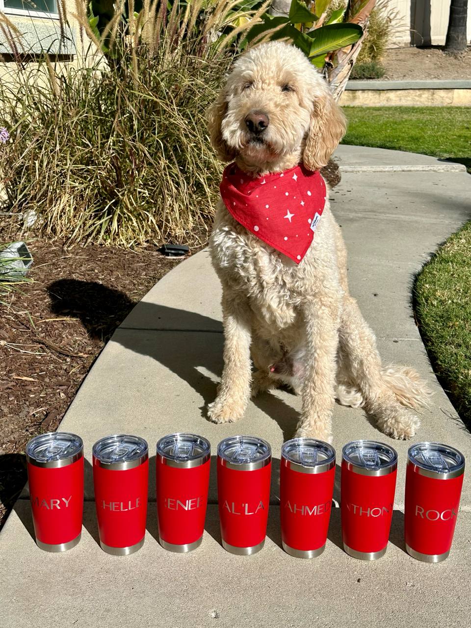 Personalized tumblers